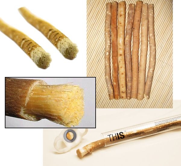 Siwak