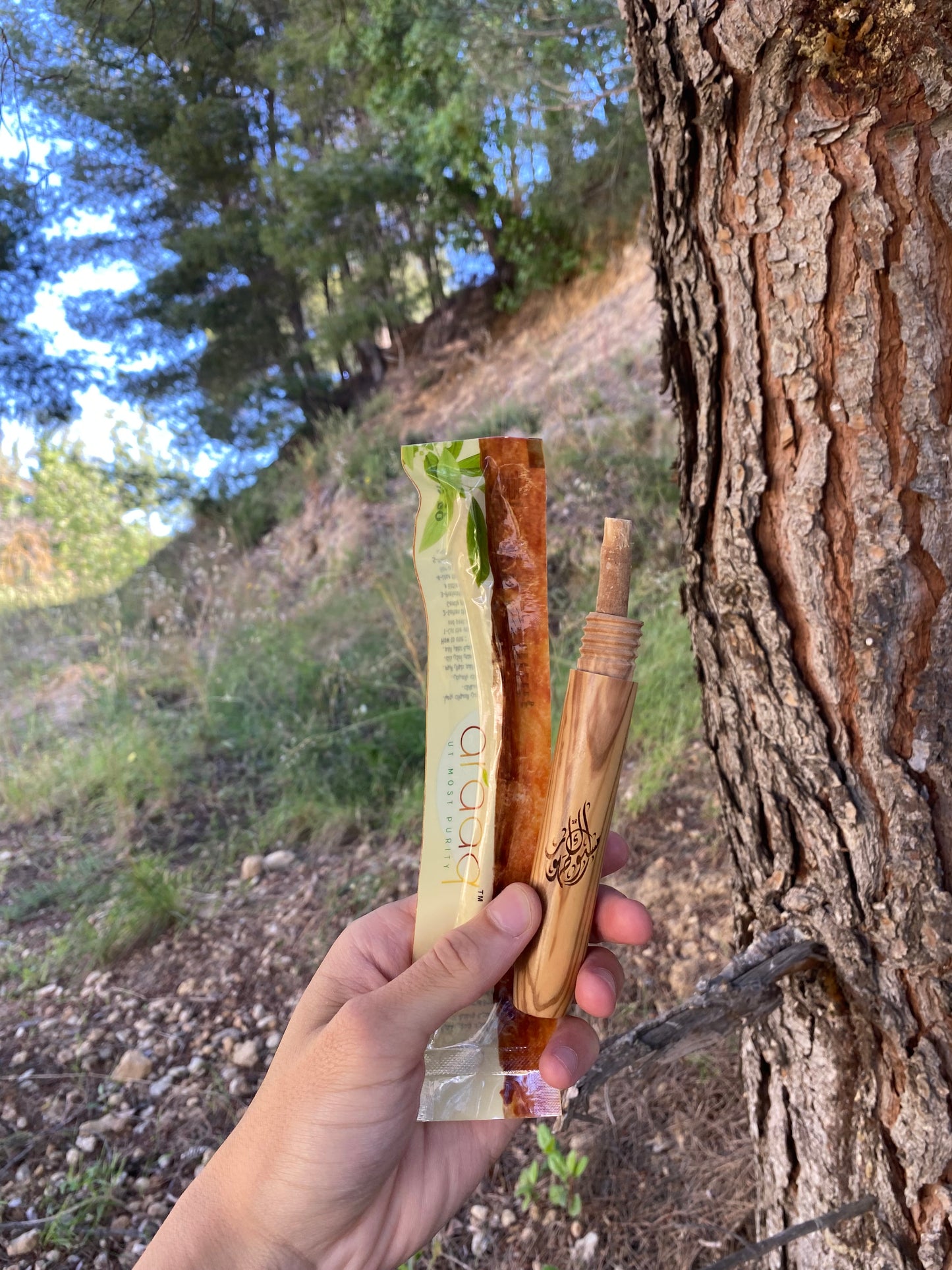 Porte siwak