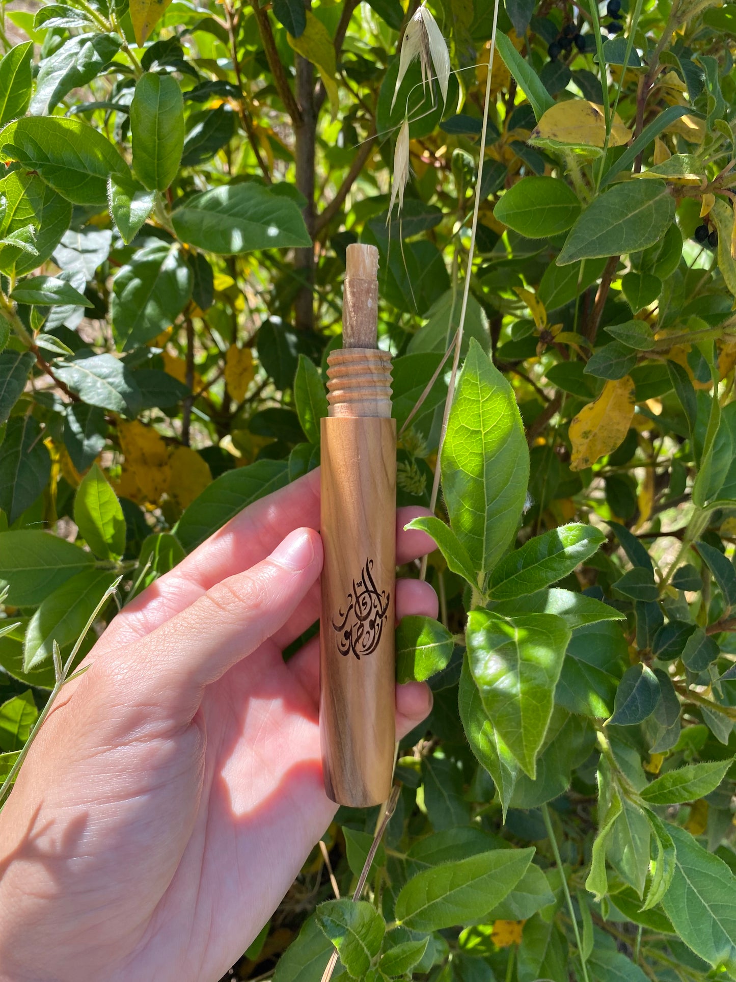 Porte siwak