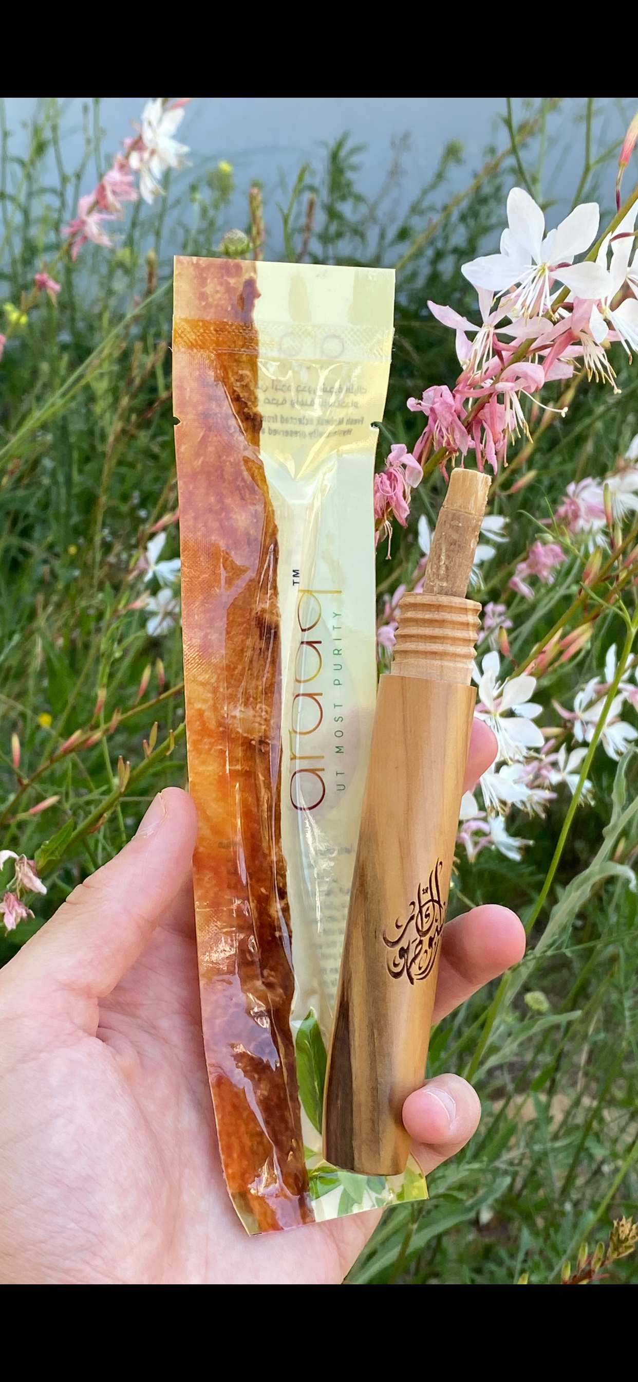 Porte siwak