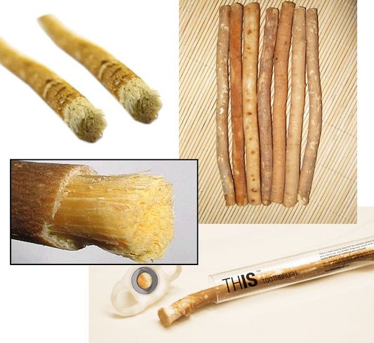 Siwak